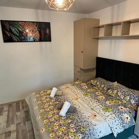 Select Apartament Bvd Stefan Cel Mare ヤシ エクステリア 写真