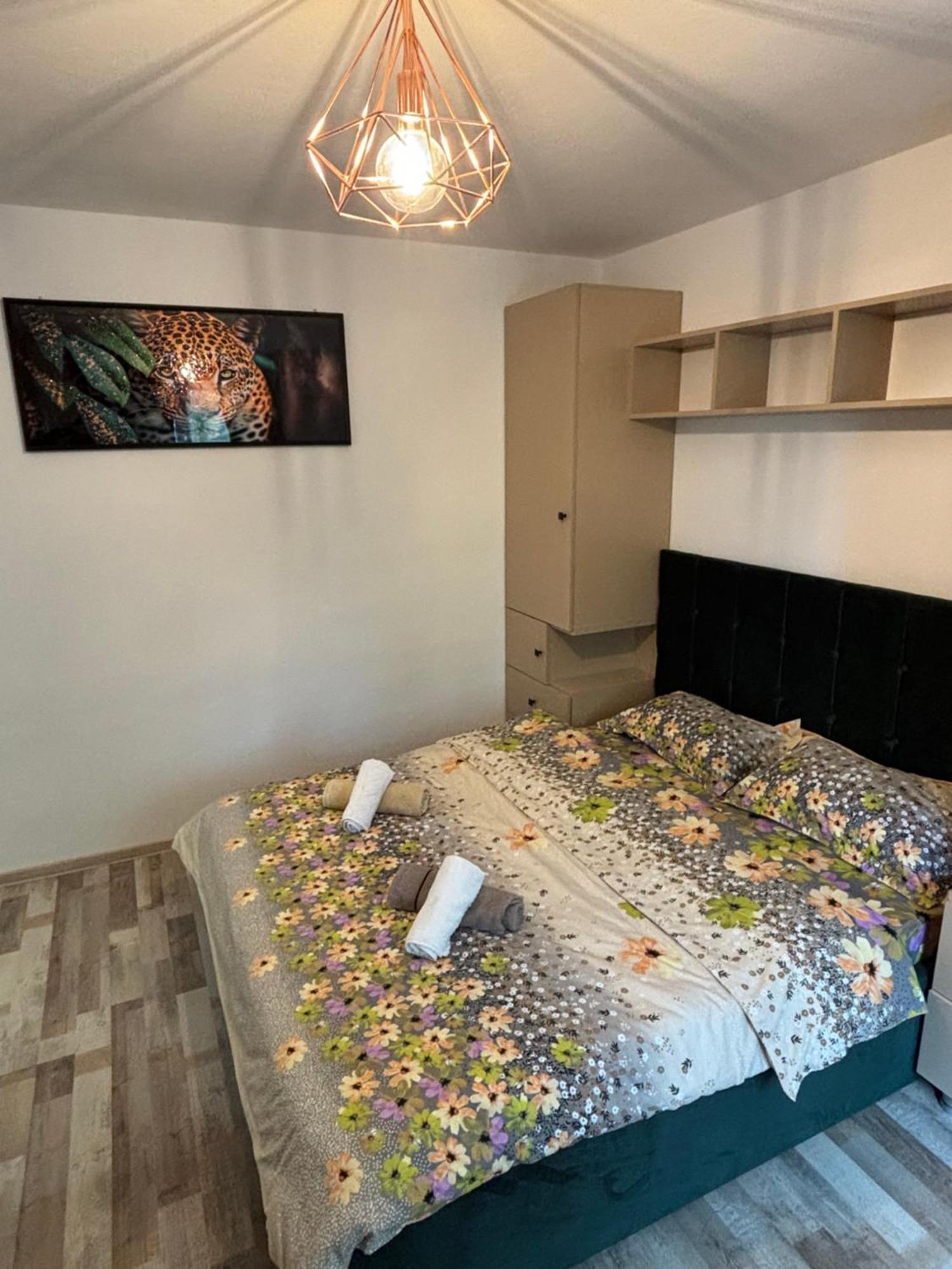 Select Apartament Bvd Stefan Cel Mare ヤシ エクステリア 写真